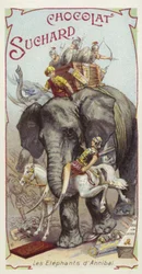 Die Elefanten von Hannibal